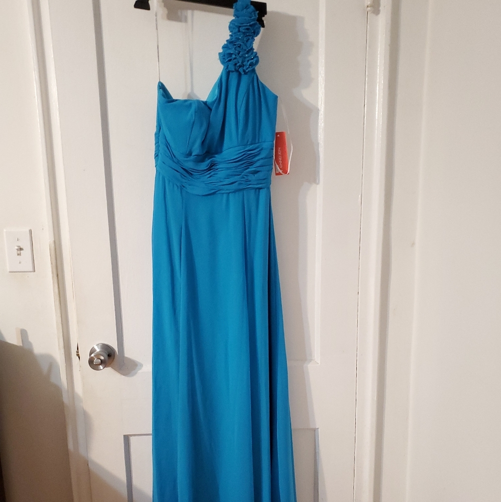 Nar anna evening gown